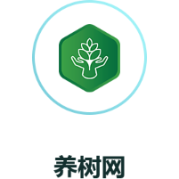 找树网旗下养树网