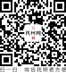 微信找树